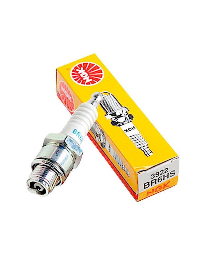 Bujía NGK. BR6HS