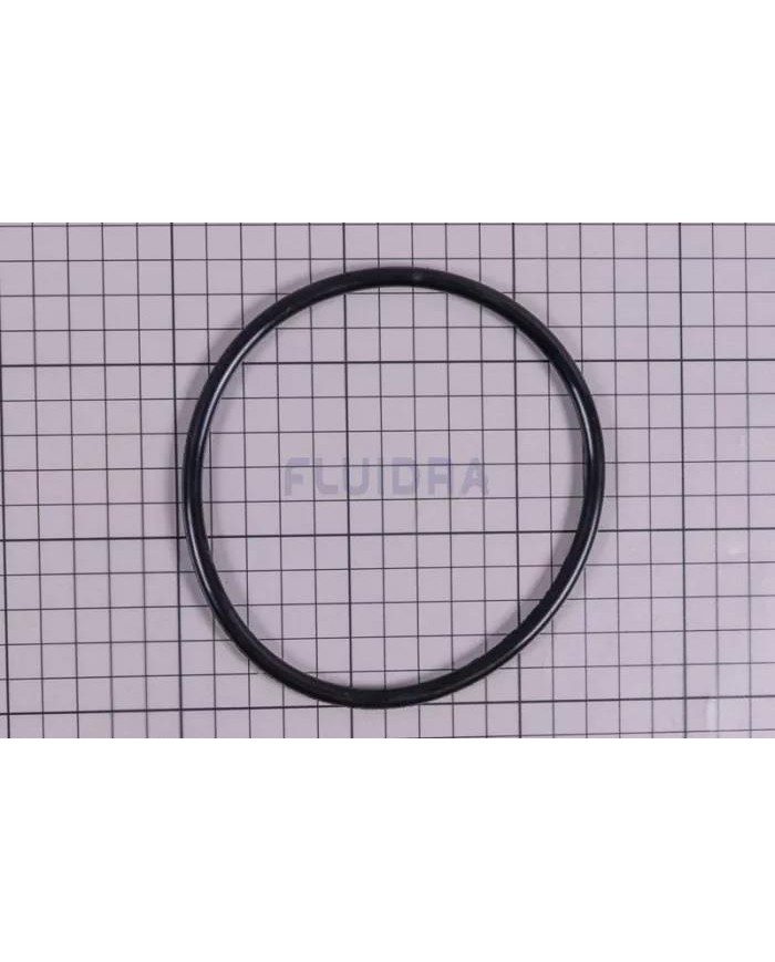 Junta vaso clorador EPDM. CE08040510