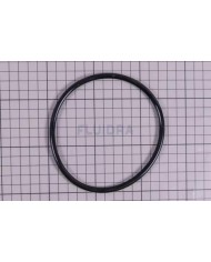 Tuerca tapa filtro varios modelos.Ø ext. 23cm. 4404180102