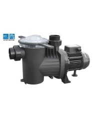 Saci. Bomba piscina Winner 300M